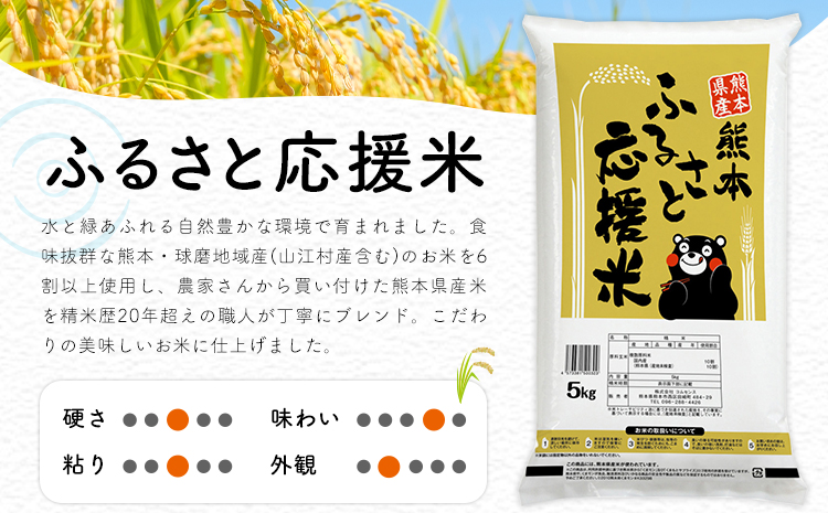 【6ヶ月定期便】米 無洗米 家庭用 熊本 ふるさと応援 定期便 米 5kg《お申込み翌月から出荷》 熊本県産 白米 精米 山江村 ブレンド米 国産 おうちご飯 返礼品 発送 配送 SDGs わけあり 