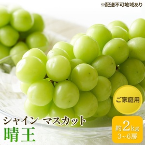 シャインマスカット 晴王 ご家庭用 岡山県産 シャインマスカット【約2kg 3～6房】【先行予約】