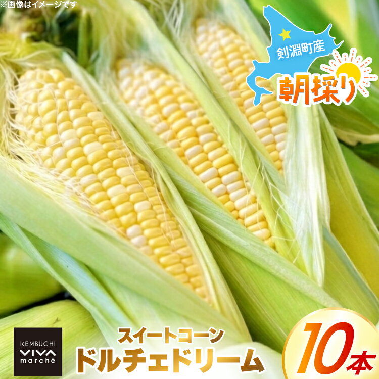 【ふるさと納税】 とうもろこし ドルチェドリーム 10本 [ けんぶちVIVAマルシェ 北海道 剣淵町 14656378 ] 野菜 トウモロコシ コーン スイートコーン 甘い 採れたて 新鮮 国産 冷蔵 ふるさと納税