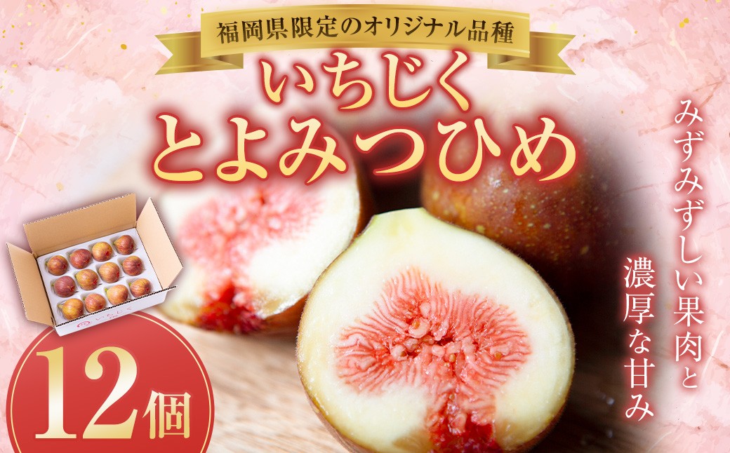 【先行予約】柿屋うちやま いちじく とよみつひめ 12個入り 