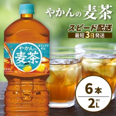 ふるさと納税 三原市 やかんの麦茶 from 爽健美茶 PET 2L×6本(1ケース) [014-066]