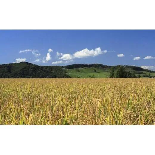 令和7年産【精白米】食べ比べ4kgセット（ゆめぴりか2kg・ななつぼし2kg）【39105】