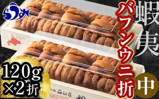 北海道知床羅臼産 天然エゾバフンうに（中）うに折  120g×2枚　2025年1月中旬から発送