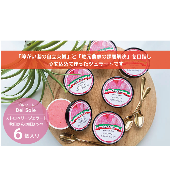 デルソーレ　ジェラート★ストロベリー★6個　農福 お菓子 スイーツ ひんやりスイーツ デザート 食後 おやつ アイス 地元食材使用 フルーツジェラート 苺ジェラート 