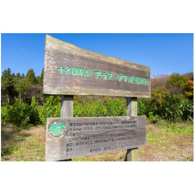 ふるさと納税 矢吹町 桑の葉パウダープレミアム　桑茶　美味しい飲みやすい!50g×3パック入り |  | 03