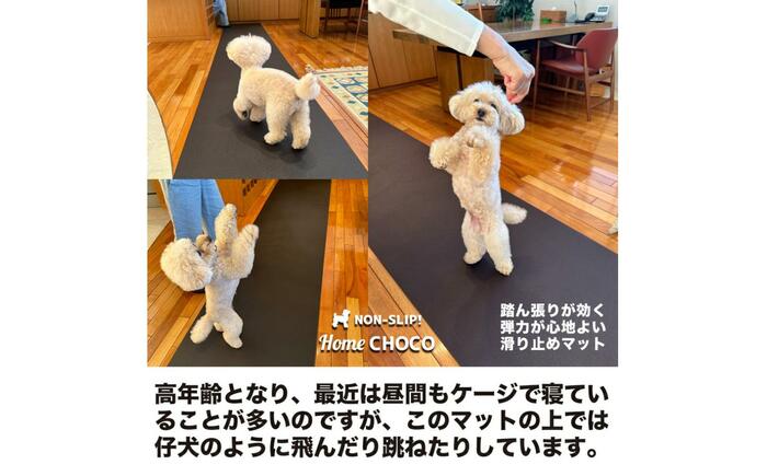 愛犬のための室内用 滑り止めマット HOME CHOCO III［幅70cm×長さ4m］ホームチョコVer.III / ドッグマット ペットマット 【パターマット工房PROゴルフショップ】 [ATAG