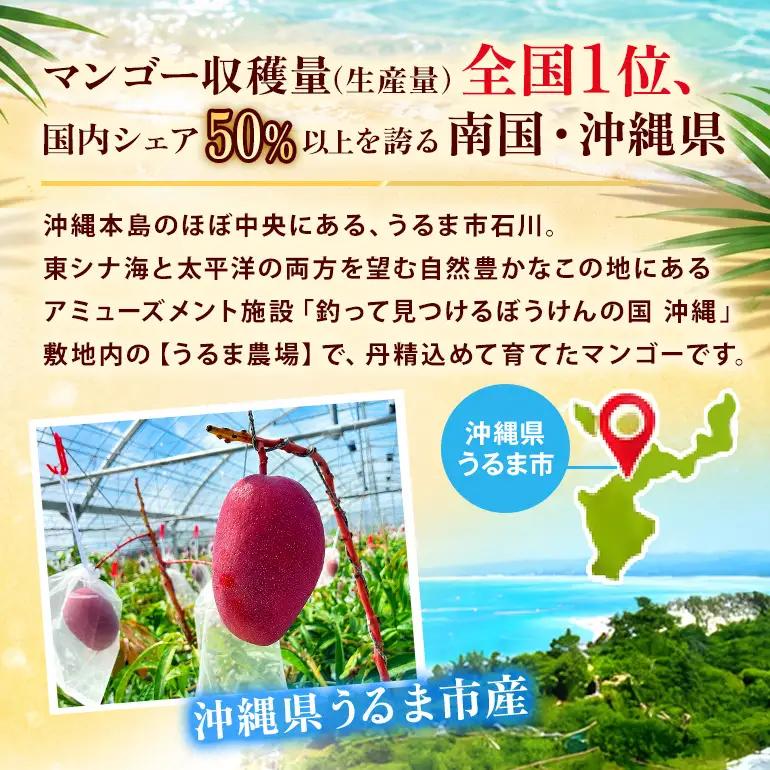 ぼうけんの国 宝石マンゴー 【秀品】アーウィンマンゴー エメラルドclass 約1kg ku01-003