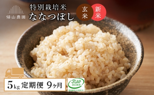 【新米予約】玄米【9カ月定期便】特別栽培米産地直送玄米ななつぼし5kg　箱入《帰山農園》