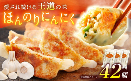 【3パック】餃子屋ヒロの ほんのりにんにく餃子【餃子屋ヒロ】開成町 餃子 点心 惣菜 冷凍[BDAS005-2]