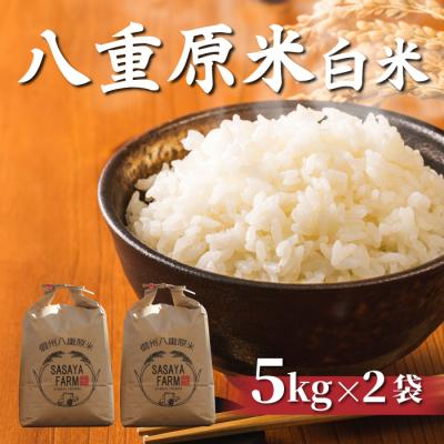 ふるさと納税 東御市 令和7年新米受付!八重原米 白米【10kg】(5kg×2袋)※2025年10月以降順次発送|笹屋農園