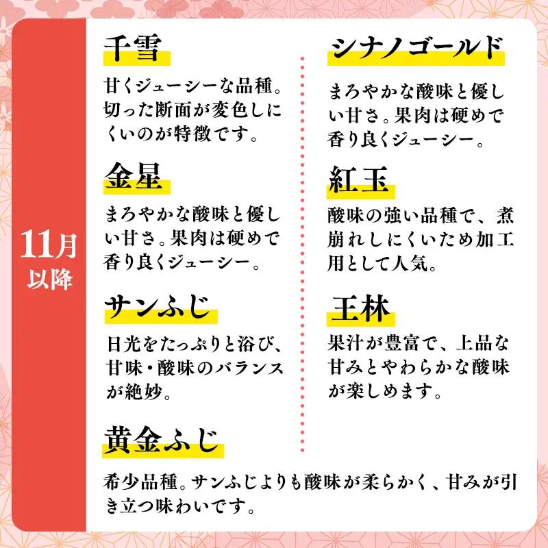 【訳あり】旬のりんご詰め合わせ10㎏ りんご