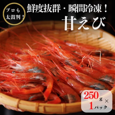 際立つ甘さと鮮やかさ『甘エビ』250g 約17尾 糸魚川産【配送不可地域：離島】【1417170】