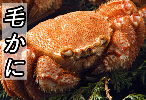 <年内配送可>毛かに400g前後～550g前後×1尾 B-30021