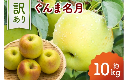 【2026年11月上旬-中旬発送予定】訳あり　りんご（ぐんま名月）約10㎏