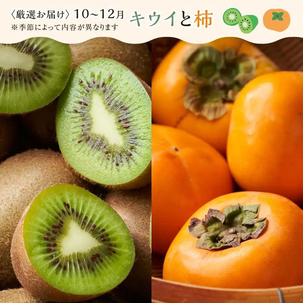 【12ヶ月連続定期便】 創業130余年！老舗果物店の厳選フルーツ詰合せ♪満足セット（3～5品種） | フルーツ