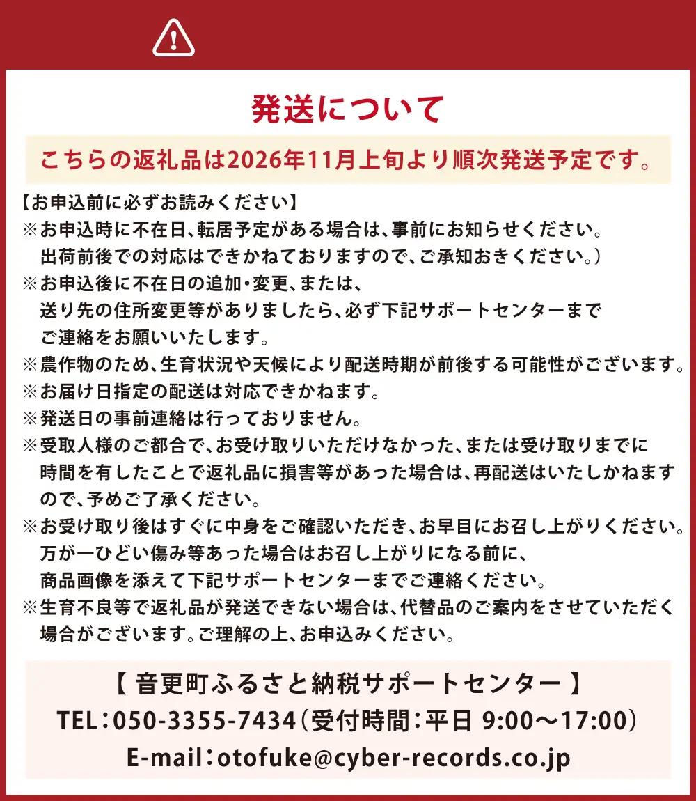 ［先行受付］訳あり おとふけ産マンゴー「白銀の太陽」1kg ( 3～4玉 ) 【 D65 】 《2026年11月上旬より発送開始予定》