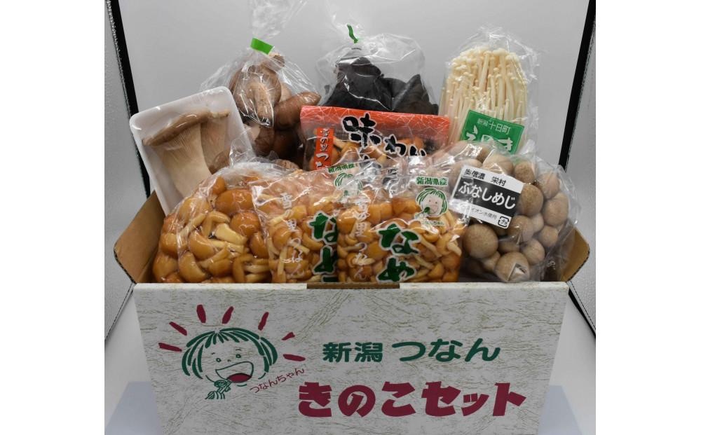 【津南町森林組合】きのこセット（8種 約1600g）