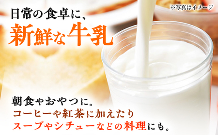 【全6回定期便】 大阿蘇牛乳 1000ml （6本入り） 牛乳 ミルク カルシウム 熊本県産 国産【合同会社 たべたせいか】[AYCB022]
