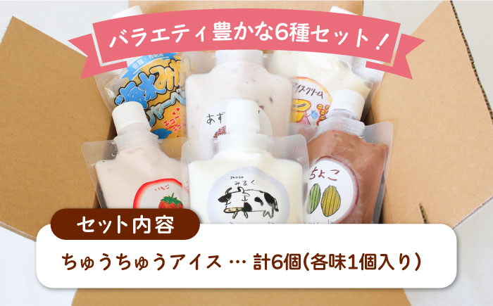 【小さいお子様にもおすすめ！】ちゅうちゅうアイス（チューブ入り）6種アソート セット【佐賀西部コロニー白石作業所】 [ICL008]