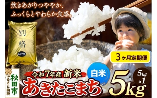 《令和7年産 新米》《定期便3ヶ月》 米 あきたこまち 5kg 【白米】 秋田県産