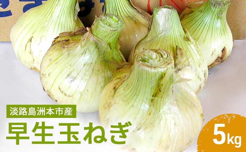 
                  ふれあい市の会 早生 玉ねぎ 5kg タマネギ オニオン 野菜 旬 甘い 淡路島 洲本市　お届け：2026年4月中旬～2026年6月中旬 [№5395-0268]
                