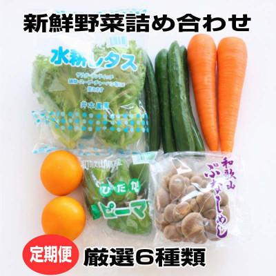 ふるさと納税 印南町 【毎月定期便】旬の新鮮野菜セット6種類 和歌山産【野菜詰め合わせ】全3回