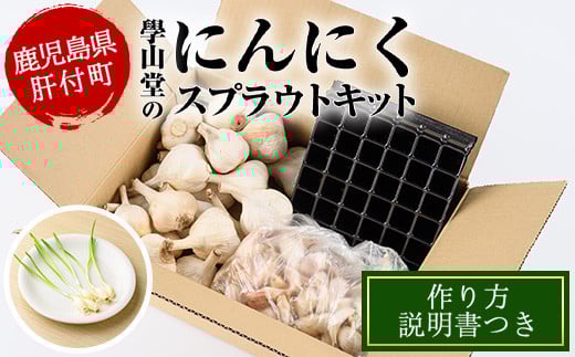 
                  A69005 ＜先行予約受付中！2026年5月下旬以降準備が整い次第順次発送＞學山堂のにんにくスプラウトキット(作り方説明書付) 鹿児島 国産 大蒜 ニンニク ガーリック 野菜 薬味 国産 自家栽培 自由研究【ニンニクの學山堂】
                