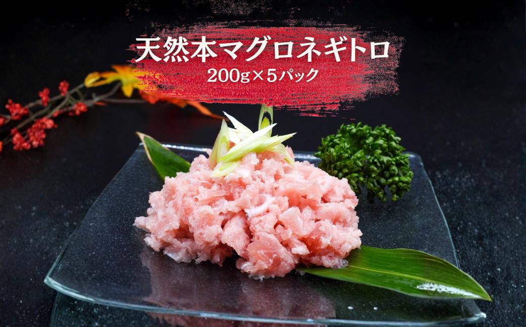 
                  冷凍天然本鮪ネギトロ　200g×5PC
                