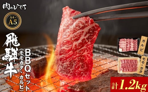 【4月発送】 飛騨牛 BBQセット（カルビ・モモカタ） 1.2kg A5 A4 国産 牛 冷凍 和牛 牛肉 カルビ もも モモ カタ 肩 かた 豪華 ギフト 贈答 にく お肉 肉 東白川村 岐阜 飛騨 贅沢 霜降り 赤身 肉のひぐち