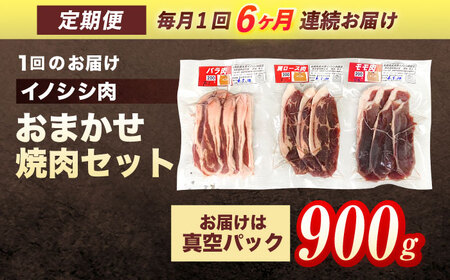 【6回定期便】天然イノシシ肉 おまかせ焼肉セット 900g (ロース・モモ・バラ) / ジビエ 猪肉 いのしし肉 ジビエ肉 肉じゃが用肉 イノシシ いのしし焼肉 長崎ジビエ 猪 ぼたん鍋 鍋肉 猪鍋 