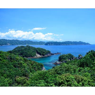 ふるさと納税 海陽町 ごろっとたっぷり具材 伊勢海老入り贅沢な食べるラー油 『海陽ラー油』100g×1瓶 |  | 01