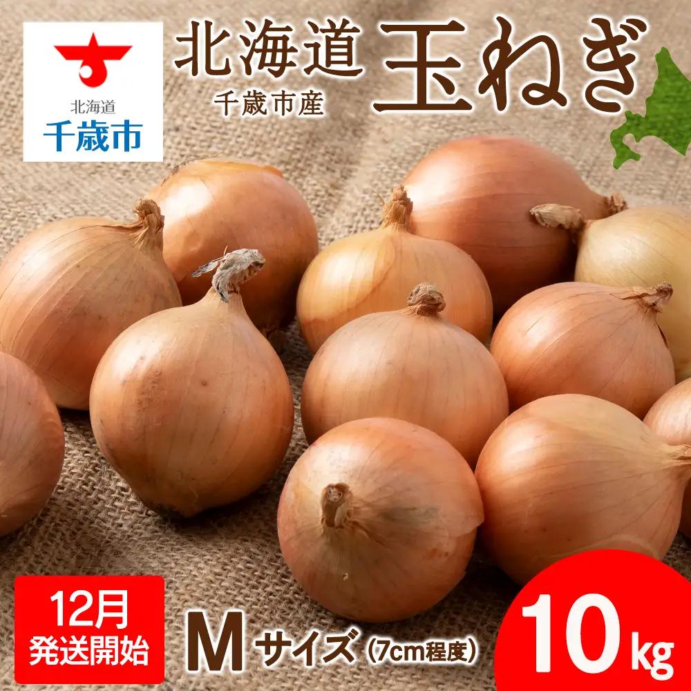 【先行予約】玉ねぎ 10kg Mサイズ 北海道 千歳市産 【假屋フードブリッジ】