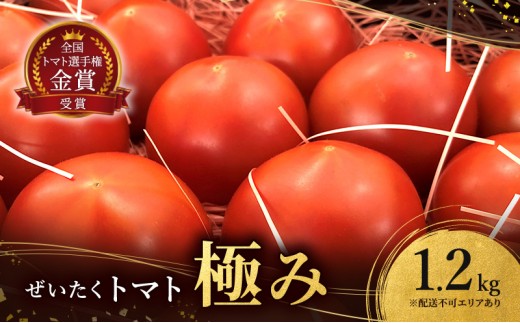 
                  ぜいたくトマト 極み 1.2kg セット 詰め合わせ 第一回全国トマト選手権ミディアム部門金賞 高糖度トマト 甘い 高糖度 とまと 野菜 季節の野菜 旬の野菜 兵庫 兵庫県 稲美町
                