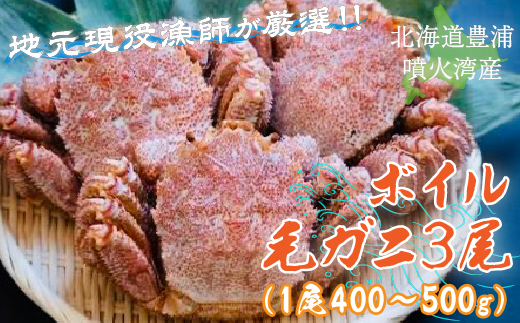 【令和7年度発送先行予約】【地元現役漁師が厳選！！】ボイル・毛ガニ3尾（1尾400～500g）北海道 豊浦 噴火湾 TYUR009