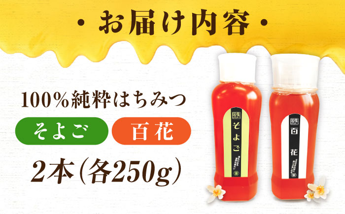 手軽に簡単チューブはちみつ（百花・そよご）各250g 計2本セット 蜂蜜 ハチミツ お取り寄せ グルメ 三次市/重森養蜂場 [APBO010]