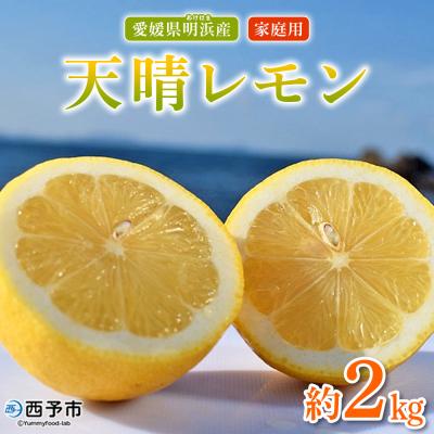 ふるさと納税 西予市 【先行受付】天晴レモン　ご家庭用　約2kg