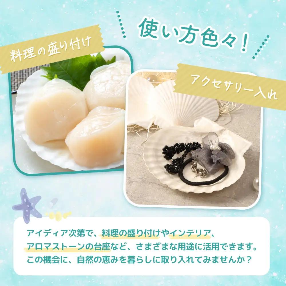 ほたて貝殻詰め合わせ【13001】
