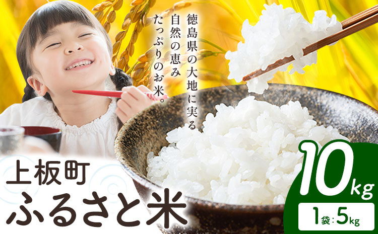 もちもち美味しい！ 上板町ふるさと米 精米 10kg 《11月中旬-12月末頃出荷》徳島県 上板町 お米 米 白米