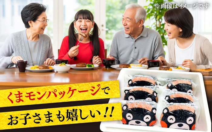 【全12回定期便】くまモンハンバーグセット（あか牛100％使用） / 菊陽町 あかうし 熊本県 肉 にく niku ブランド 旨み【有限会社　三協畜産】 [BHAS059]