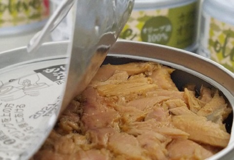 ［1116］熟成 黒潮のツナ缶 カツオの旨みを生かした缶詰　8缶セット