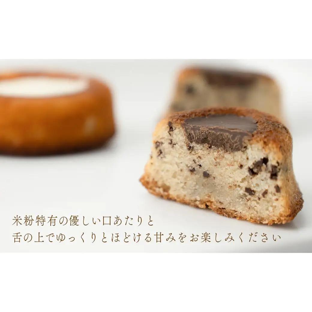 米粉のティグレ 5種10個 冷凍発送 グルテンフリー 米粉 米粉菓子 小麦不使用 フィナンシェ生地 しっとりなめらか 優しい甘さ [1326]