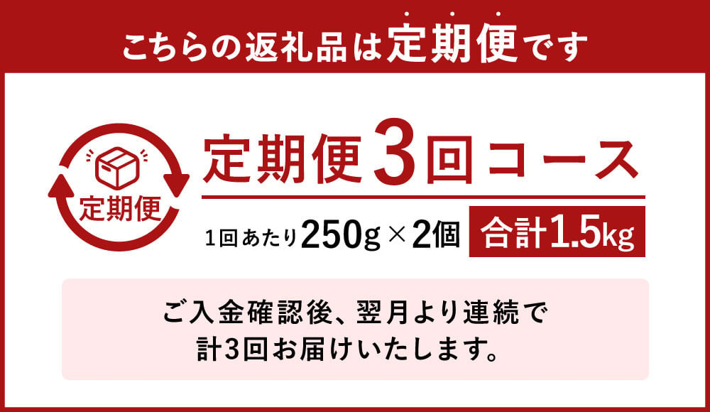 【3ヶ月定期便】熊本県産 栗 渋皮煮 250g×2個 年3回