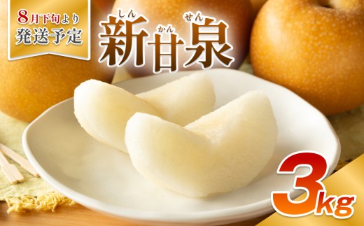 【先行予約】安田農園 梨 ”新甘泉” 3kg箱｜鳥取 岩美 梨 なし ナシ 赤梨 果物 フルーツ ※お届けは2026年8月下旬頃～【41030】