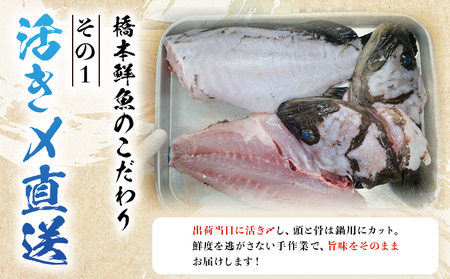 ＜活き〆 幻のクエ（養殖）1尾＞ 原体 真クエ くえ 約2kg～3kg 約5～6人前 宇和海産 鍋用 鮮度 刺身 鍋 お鍋 クエ鍋 海鮮鍋 たっぷり 食卓 海鮮 魚介 魚 高級魚 国産 橋本鮮魚 愛媛