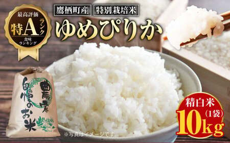 【令和7年産】ゆめぴりか（精白米）特Aランク 10kg 北海道 鷹栖町 米 コメ ご飯 精白米 お米 ゆめぴりか 【2025年9月下旬より発送予定】