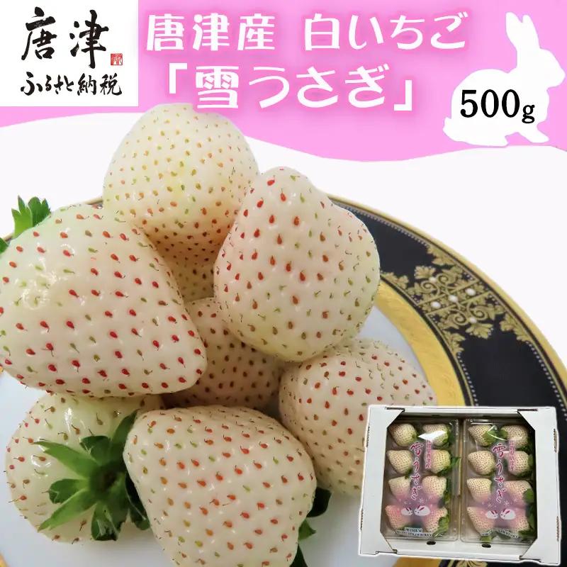『先行予約』【令和9年2月中旬発送】唐津産 白いちご「雪うさぎ 」500g(250g×2)