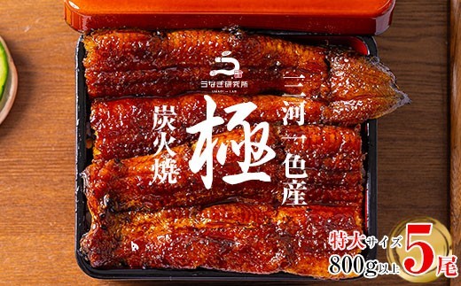 三河一色産うなぎ蒲焼特大5尾(計800g以上【土用の丑】・R045-35-c1
