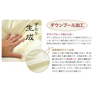 ザ・羽毛布団 プレミアムゴールドラベル キング 230×210cm ダウン95% 掛け布団 羽毛【1376661】