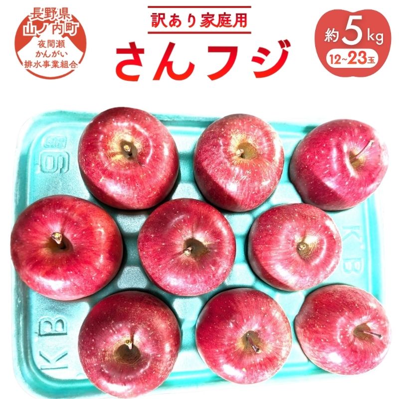 サンふじ 訳あり家庭用 約5kg 12～23玉 りんご 果物 訳あり 信州 長野