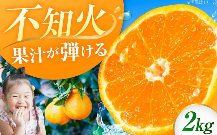 
            不知火 2kg しらぬい 小玉 デコポン 江田島市産 広島 果物 フルーツ ふるーつ みかん 蜜柑 柑橘 ミカン ギフト 贈り物 ビタミン 美容 健康 オレンジ 果肉 果物 お取り寄せ ギフト 果物 蜜柑 柑橘 ミカン ギフト 贈り物 お取り寄せ ギフト リピート ギフト プレゼント 贈答 人気 高品質 好評 広島県産 ハルテラス農園/江田島市 [XCX002]
          